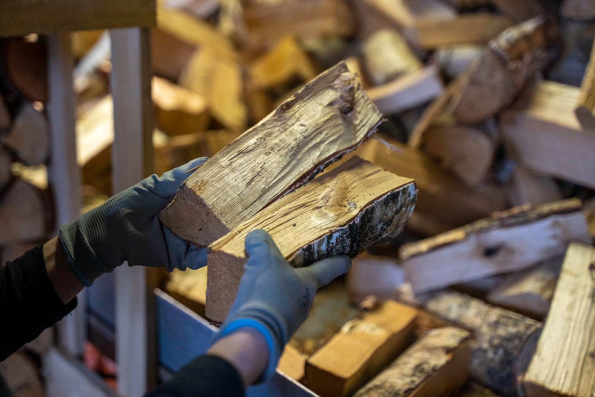 Firewood quality check at the Tervete Wood factory